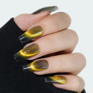 Cat eye gel nail polish Professional OEM ODM megnetic gel manufacturer China