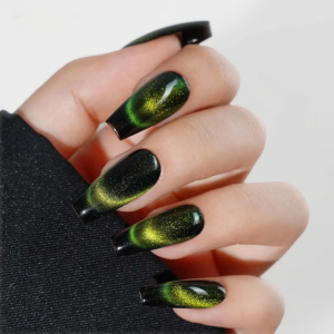 12.12 252ee199 c30e 4977 9a10 ec0be10f1ddc