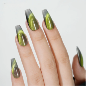 12.12 cf180e86 a8c6 49ae 8539 8a8002cd6fc5