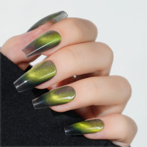 12 8757caa4 fcc9 4bfb 9059 ab2dbb63e258